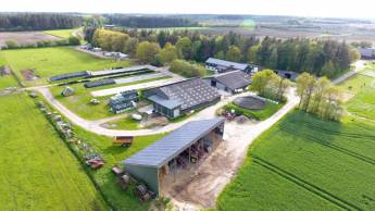 Bauernhofcamping zwischen Nord und Ostsee