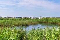 First Camp Lakolk Strand-Rømø