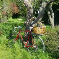 Lepelie, eine rustikale Oase