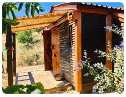 Blick auf den Tejo und die Reisfelder