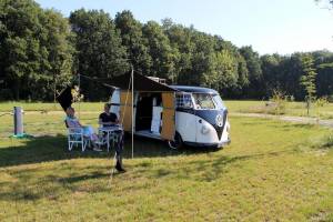 Schöner Campingplatz in Drenthe, 700 m vom Campingplatz Westerbo
