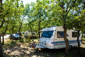 Camping Les Chênes Blancs