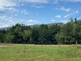 Campingplatz in VERTOLAYE, Auvergne-Rhône-Alpes