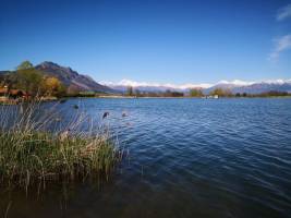 Camping La Motte Flottante