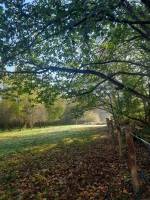 Camping im französischen Wald