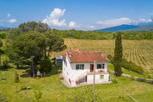 Cozy counrtry house btn Florence&Arezzo