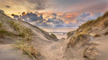 WestCord Hotel De Wadden