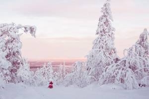 Sneeuwscootertour van Lapland, winteravontuur