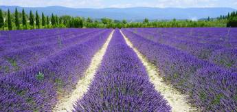 Midden- & Zuid-Frankrijk in Stijl - 12-daagse roadtrip