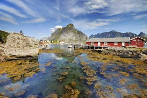 2025 Hurtigruten postschip route Noordwaarts boekingsaktie tot 2