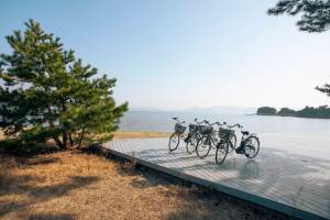 2-daagse bouwsteen Fietsen op Naoshima