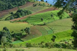 2-daagse trekking Kalaw naar Inle Lake