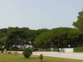 Camping Orbitur Sagres