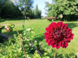 Bauernhofcamping im Greifswald