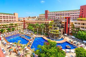 Fly & Go Best Jacaranda