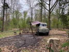Wodan, cooler Bus im Wald