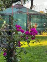 Authentische Jurte❤️ Eine Party für alle Jahreszeiten!