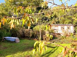Au bois parlant, sprechendes Holz