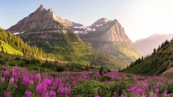 Experience the pristine nature of the Rockies and Northwest