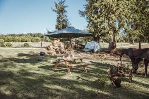 Eine Einzellage im Herzen des Bauernhofs, Ruhe und Frieden garan