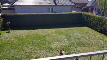 Gartencamping in der niederrheinischen Bucht zwischen Köln und A