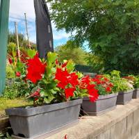 Auf 700 Metern über dem Meeresspiegel in ST BONNET LE TRONCY