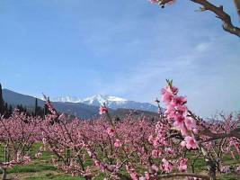 Camping Les Jardins d'Estavar