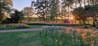 Ökogarten in Wuustwezel, Antwerpen