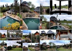 Addo Dung Beetle Guest Farm