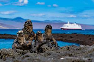 HX Expeditie Galapagos | De beste eilanden van de Galapagos