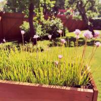 Campspace in Hennigsdorf, Brandenburg