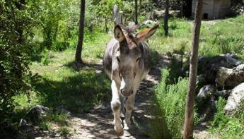 Camping Calme Et Nature