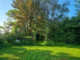 Campingplatz in TERNEUZEN, Zeeland
