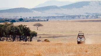 Perfect Match Kenya and Tanzania