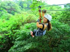 Single reis Costa Rica: Natuur & Strand; Gifkikkers, luiaards en