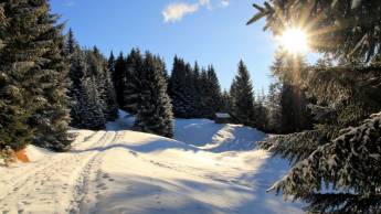 Vienna House by Wyndham Martinspark