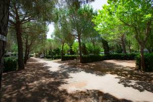 Le Gorette Cecina Easy Camping Village