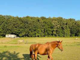 Naturerlebnis mit Panoramablick am Landgut