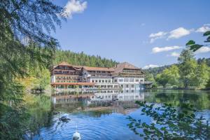 Hotel Langenwaldsee