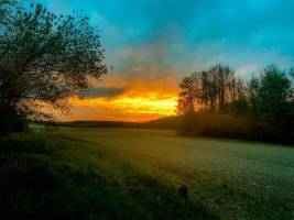 Umgeben von Natur in MERREY SUR ARCE, Grand Est