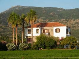 Islands Apartments