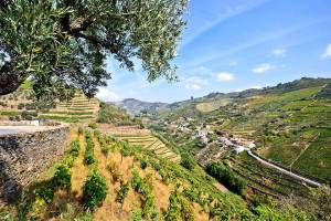 Grand Tour Portugal