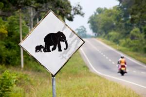 Rondreis Natuurlijk Sri Lanka