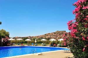 Delfinia en Bungalows