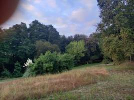 Campingplatz in RION DES LANDES, Nouvelle-Aquitaine