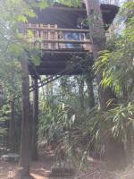 Offenes Baumhaus im Naturschutzgebiet Balen: Für abenteuerlustig