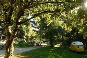 Ländlicher Campingplatz am Rande des Waldes: Naturvergnügen in d