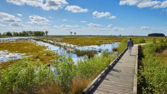 Hotel & Restaurant Wesseling