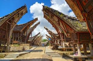 Rondreis INDONESIË: SULAWESI & DE MOLUKKEN - 23 dagen; Tau-tau, 