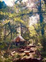 Ruhiger Ort im Wald von Pays des Collines